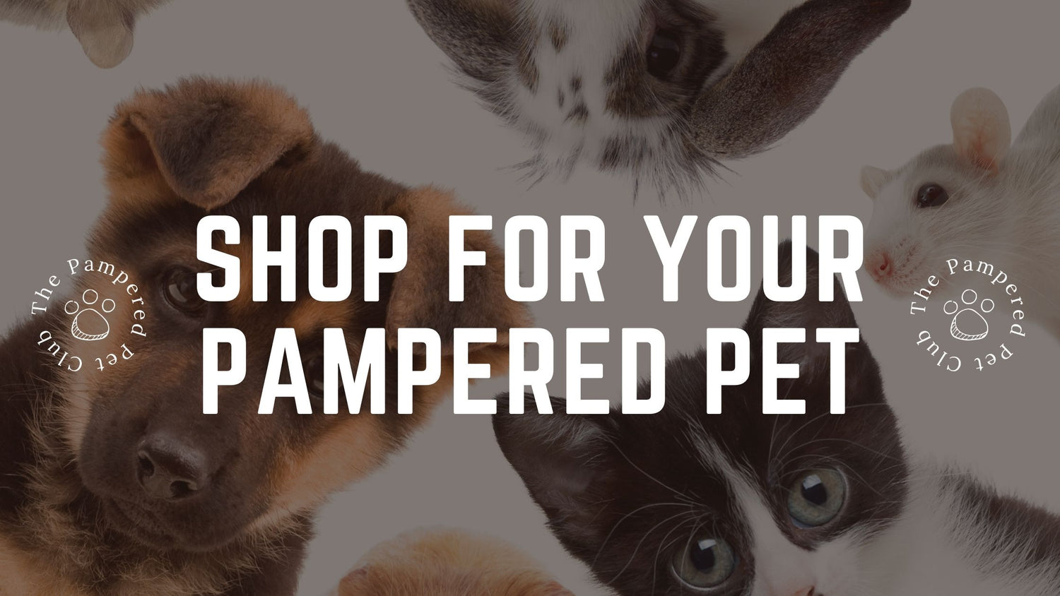 Shop for your pampered pets at The Pampered Pet Club