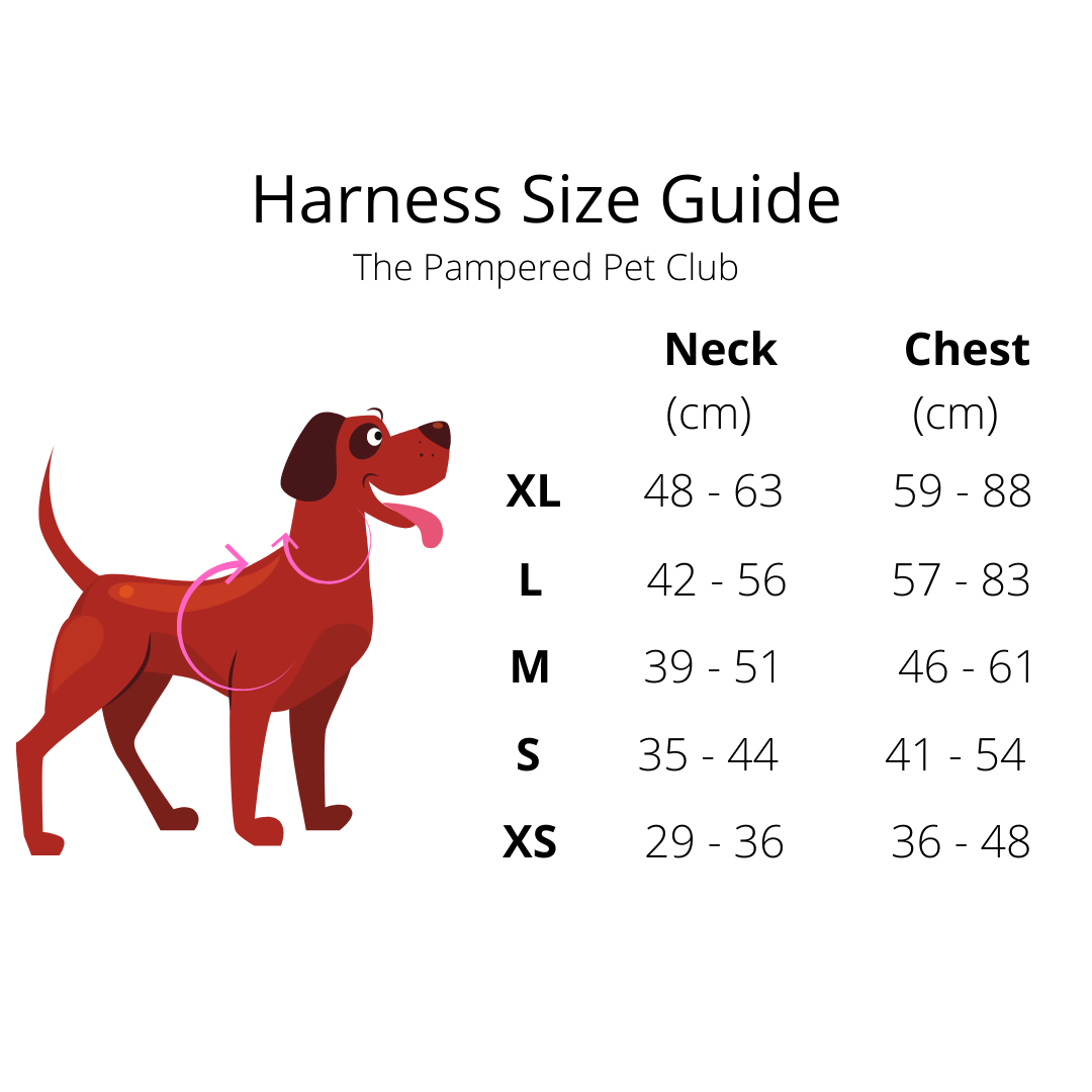 Adjustable Pet Harness - Rainbow